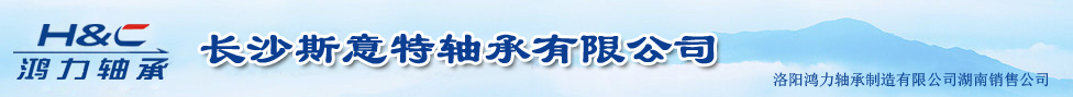 湖南洛阳鸿力轴承